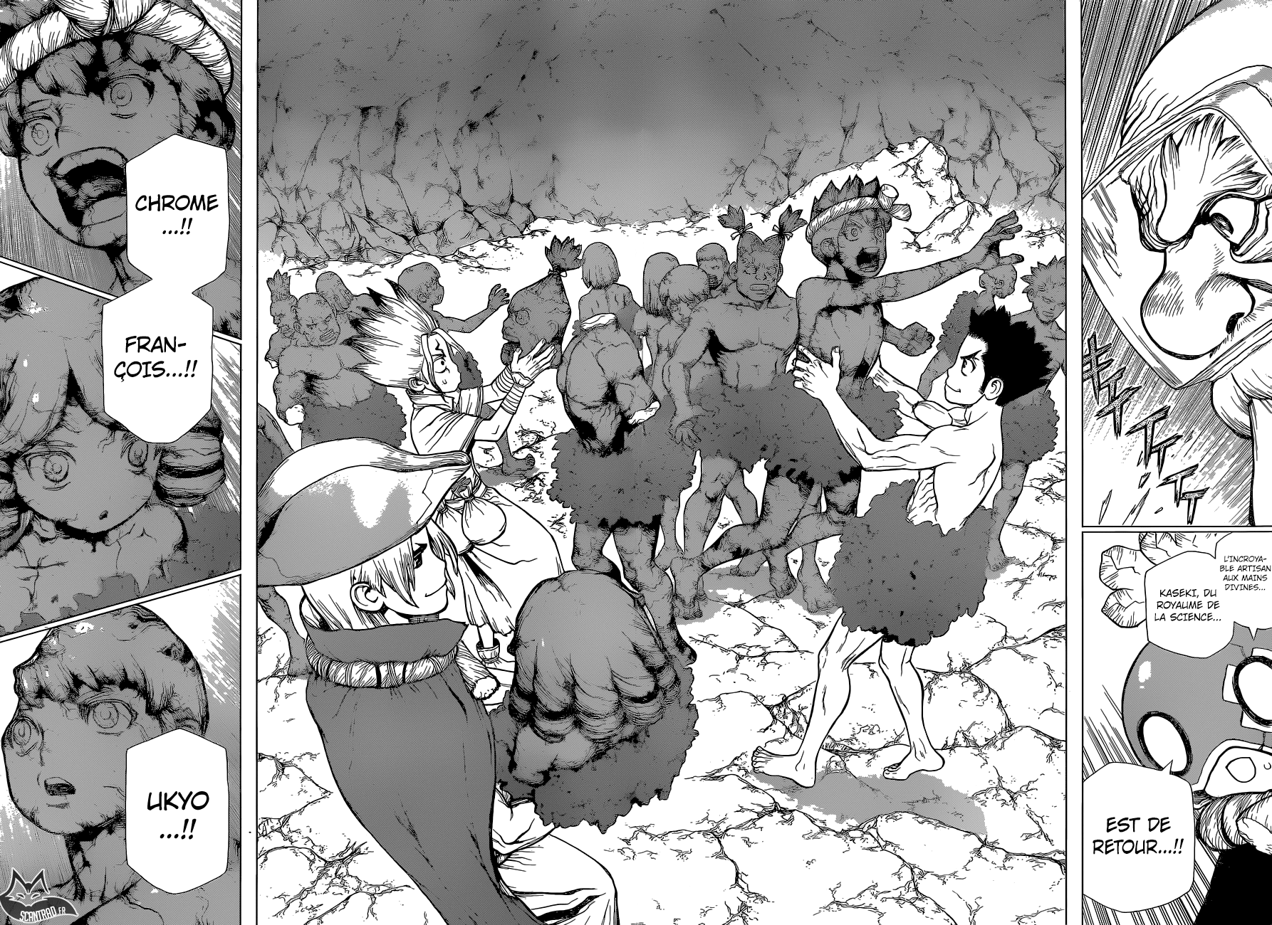 Read Dr Stone FR Manga Online