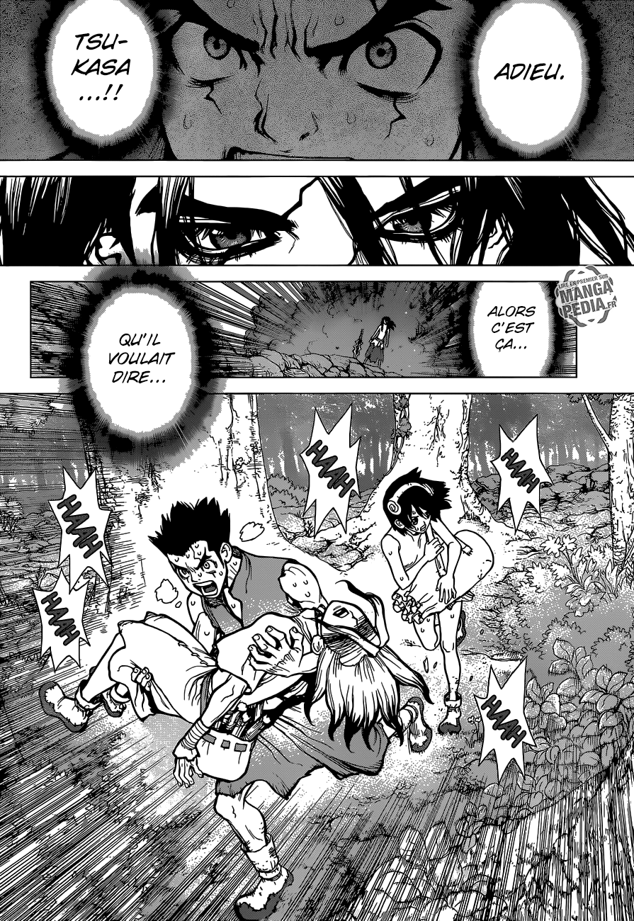 Read Dr Stone FR Manga Online