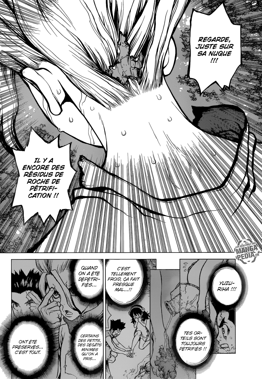Read Dr Stone FR Manga Online