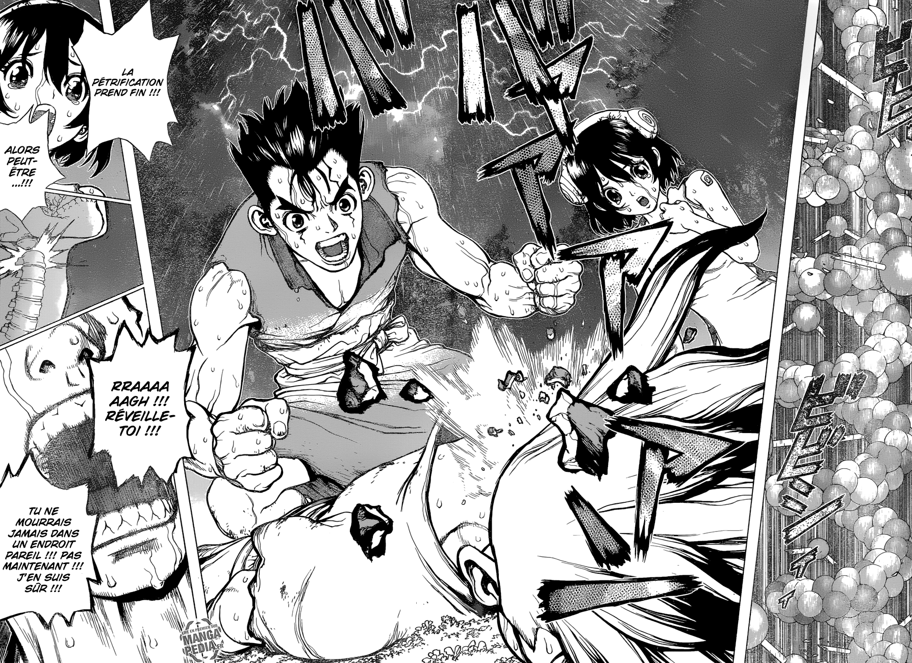 Read Dr Stone FR Manga Online