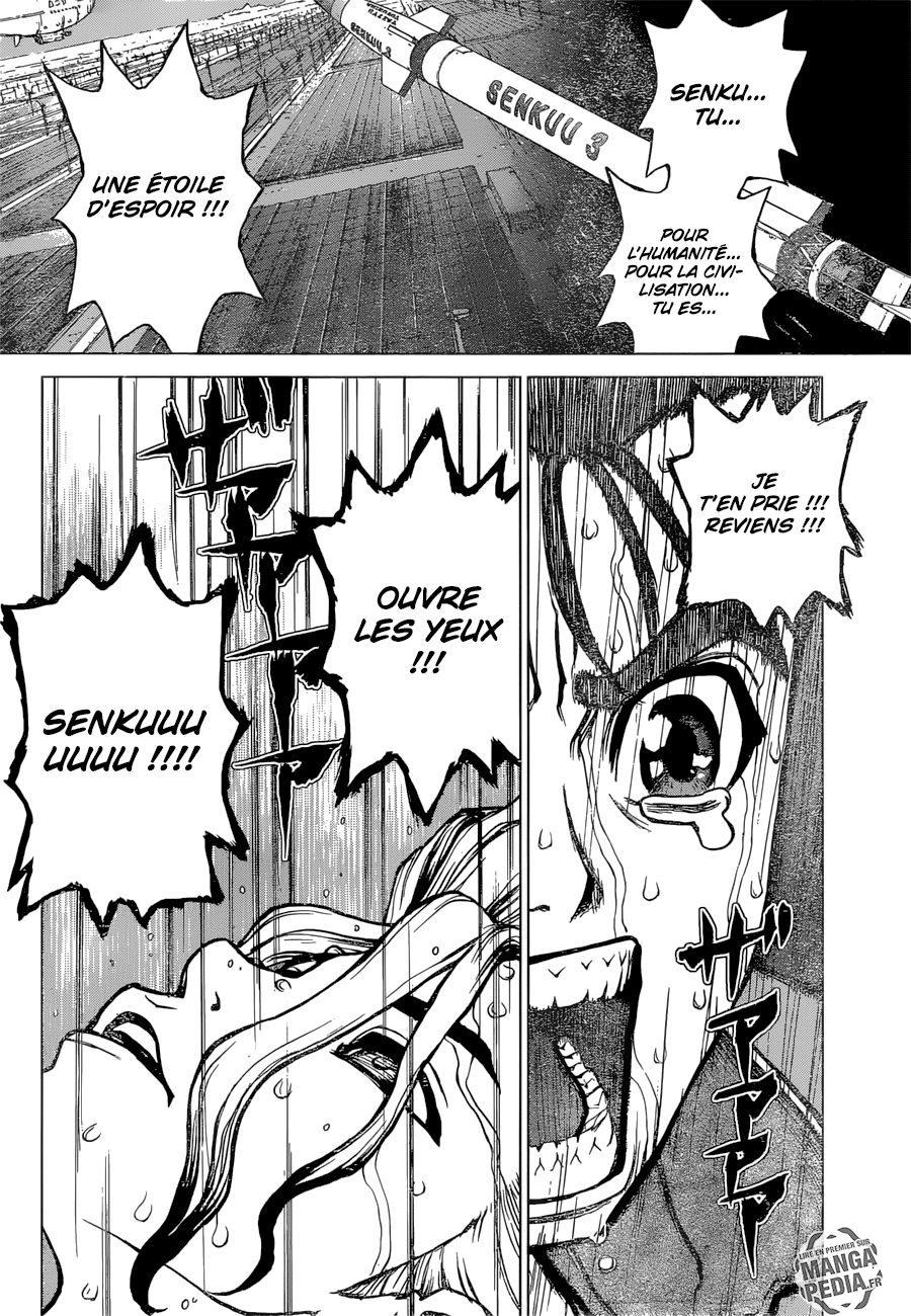 Read Dr Stone FR Manga Online