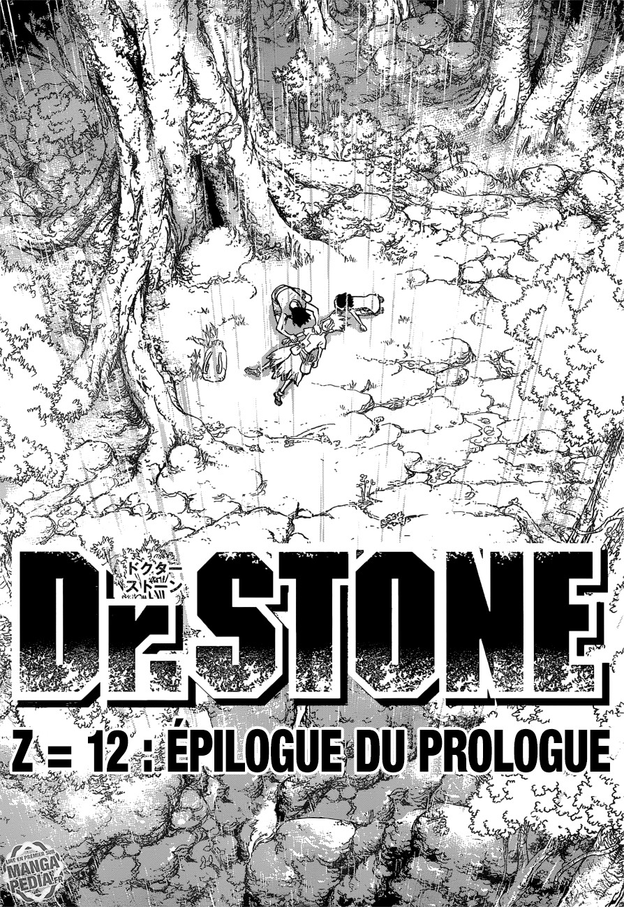 Read Dr Stone FR Manga Online