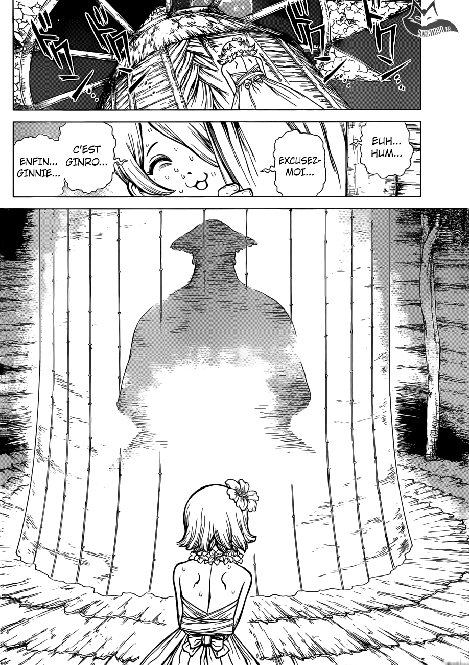 Read Dr Stone FR Manga Online