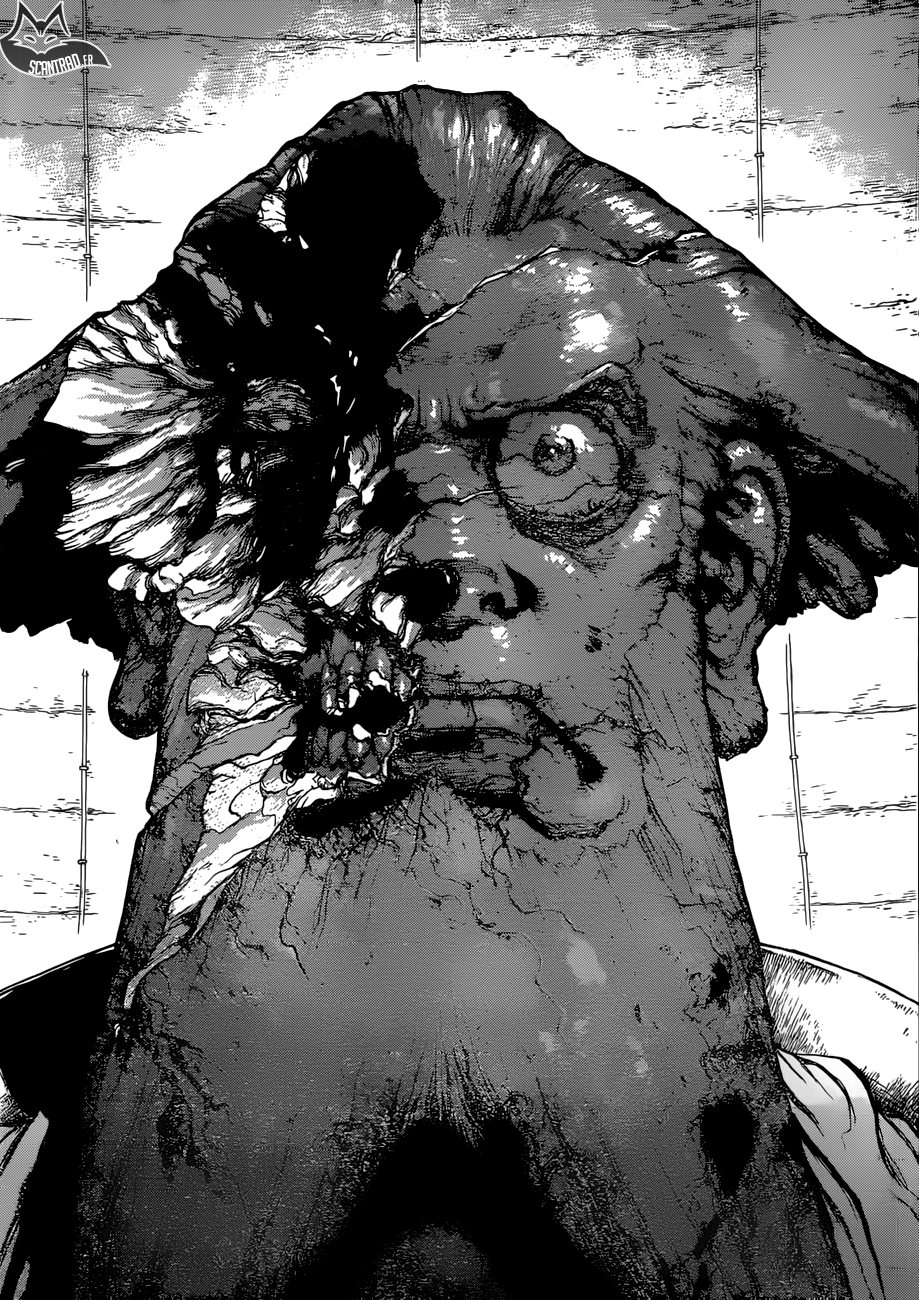 Read Dr Stone FR Manga Online