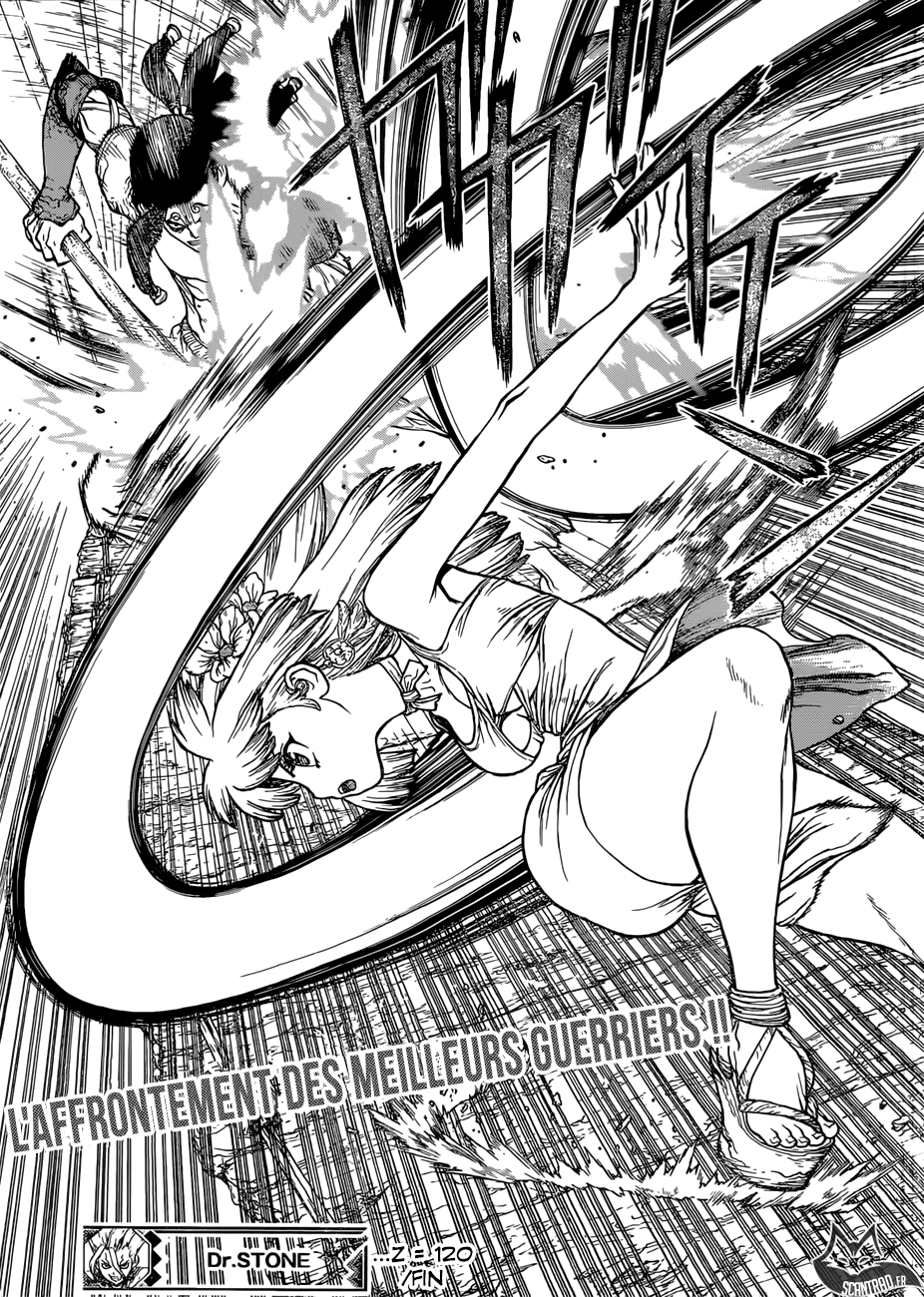 Read Dr Stone FR Manga Online