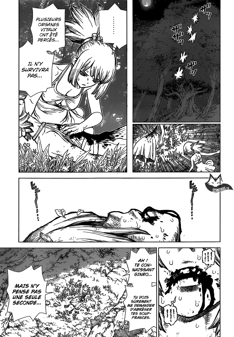Read Dr Stone FR Manga Online