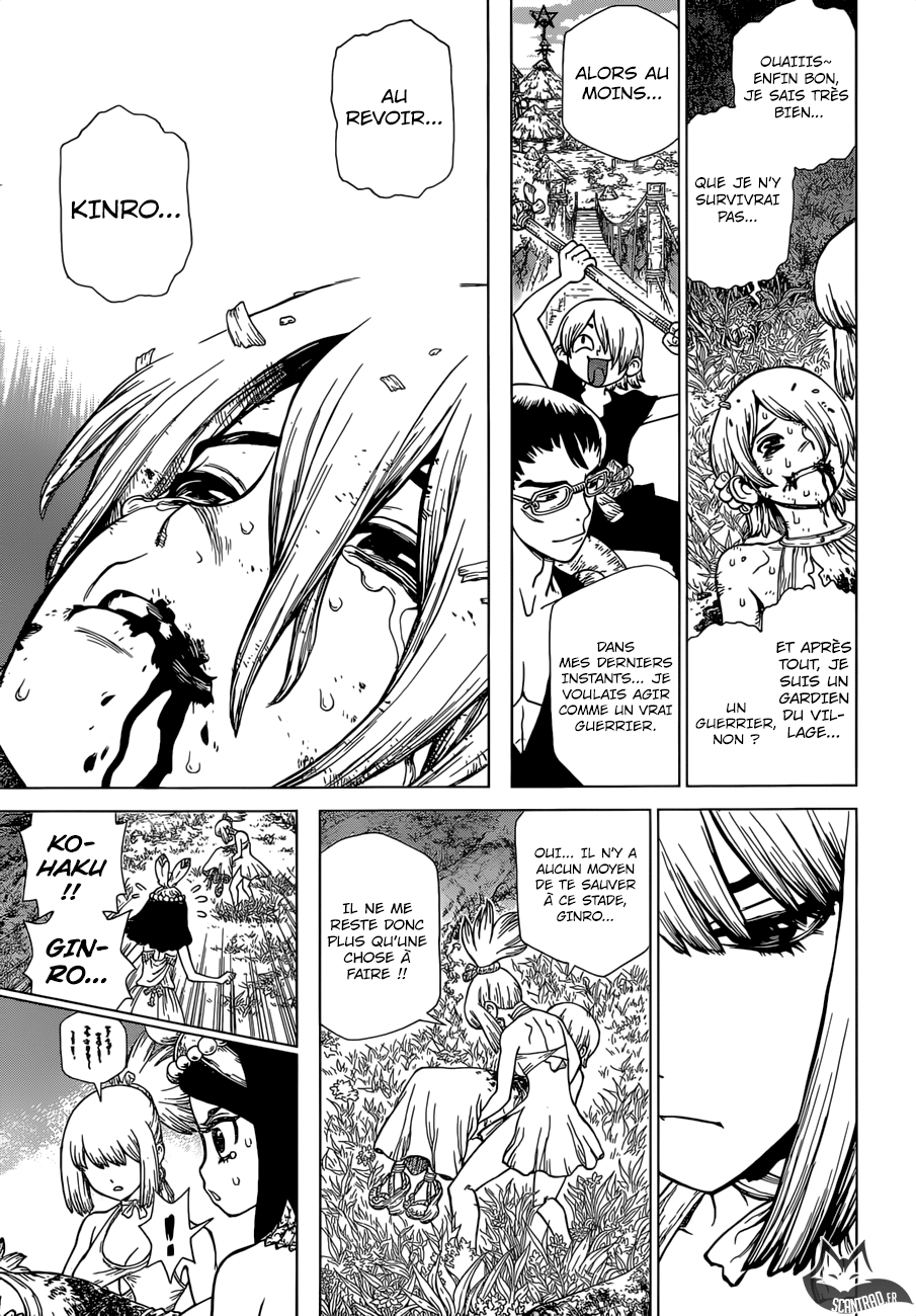 Read Dr Stone FR Manga Online