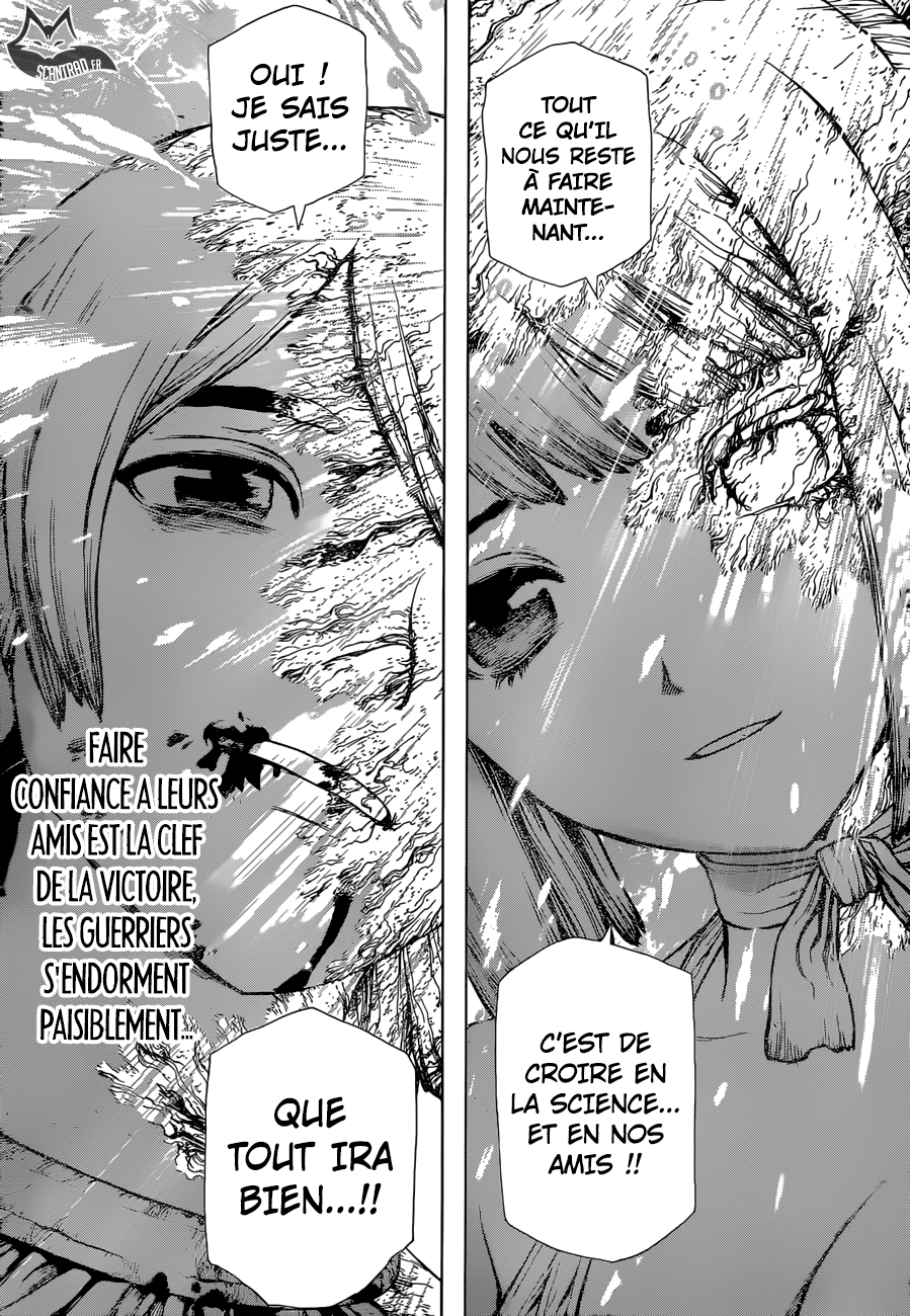 Read Dr Stone FR Manga Online