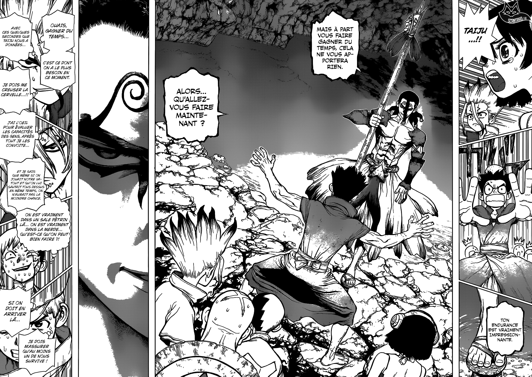 Read Dr Stone FR Manga Online