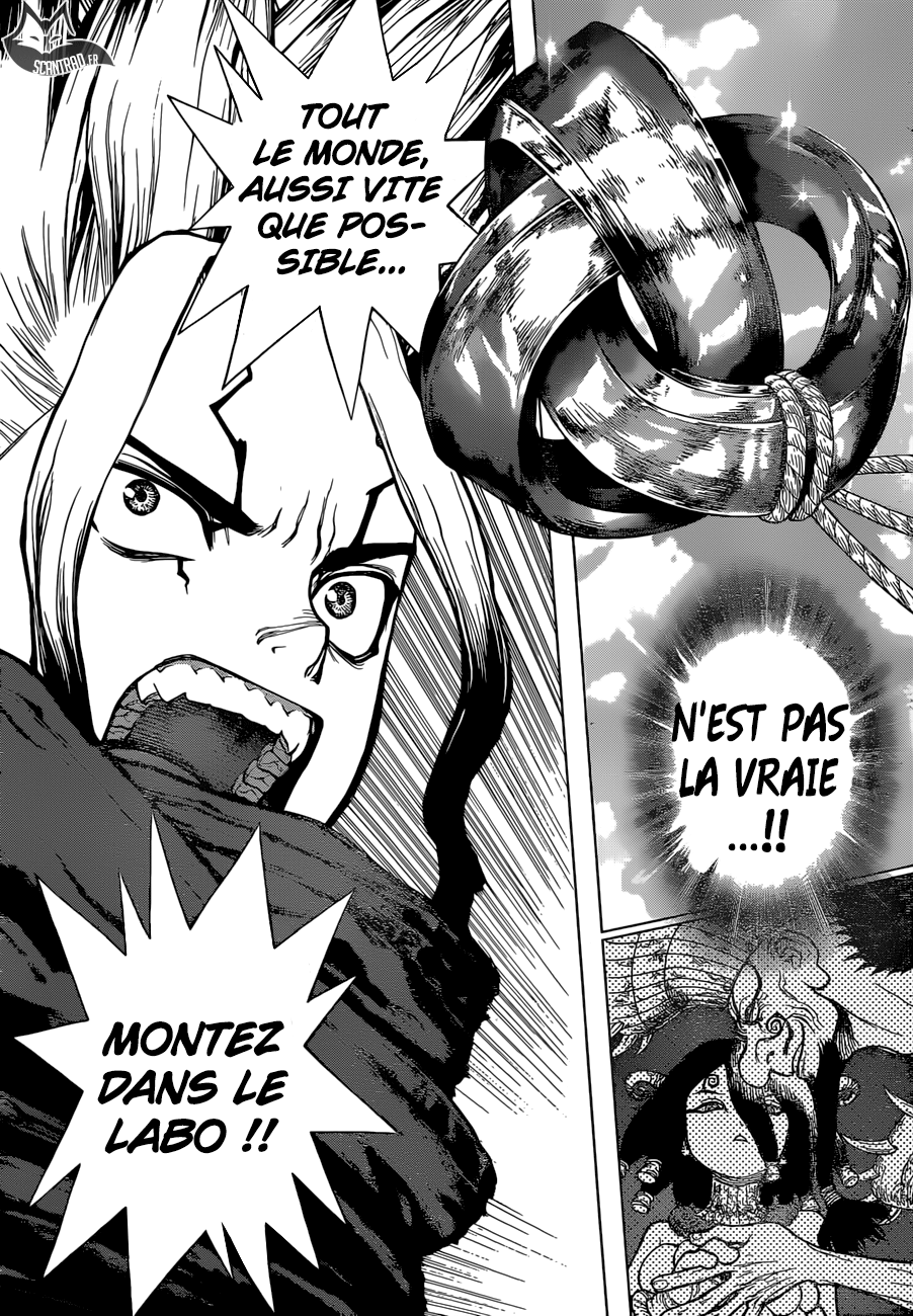 Read Dr Stone FR Manga Online