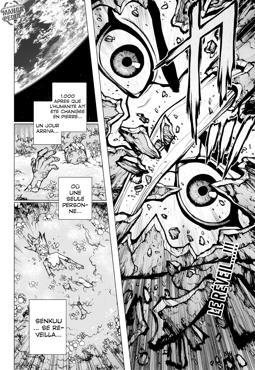 Read Dr Stone FR Manga Online