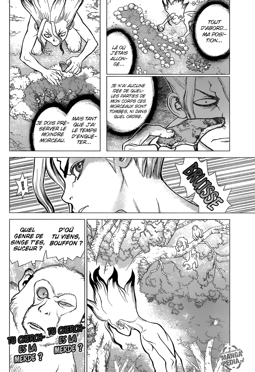 Read Dr Stone FR Manga Online