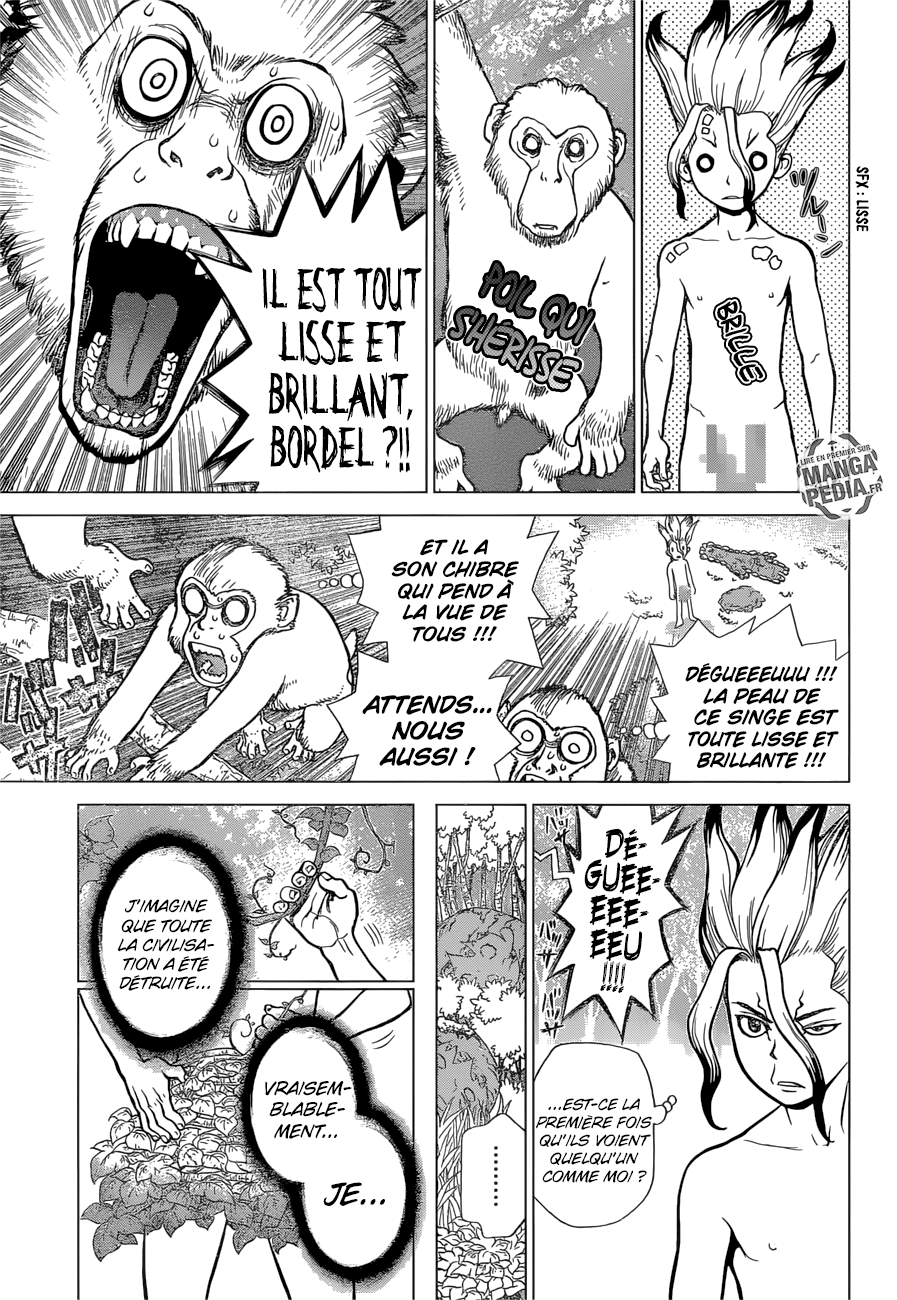 Read Dr Stone FR Manga Online