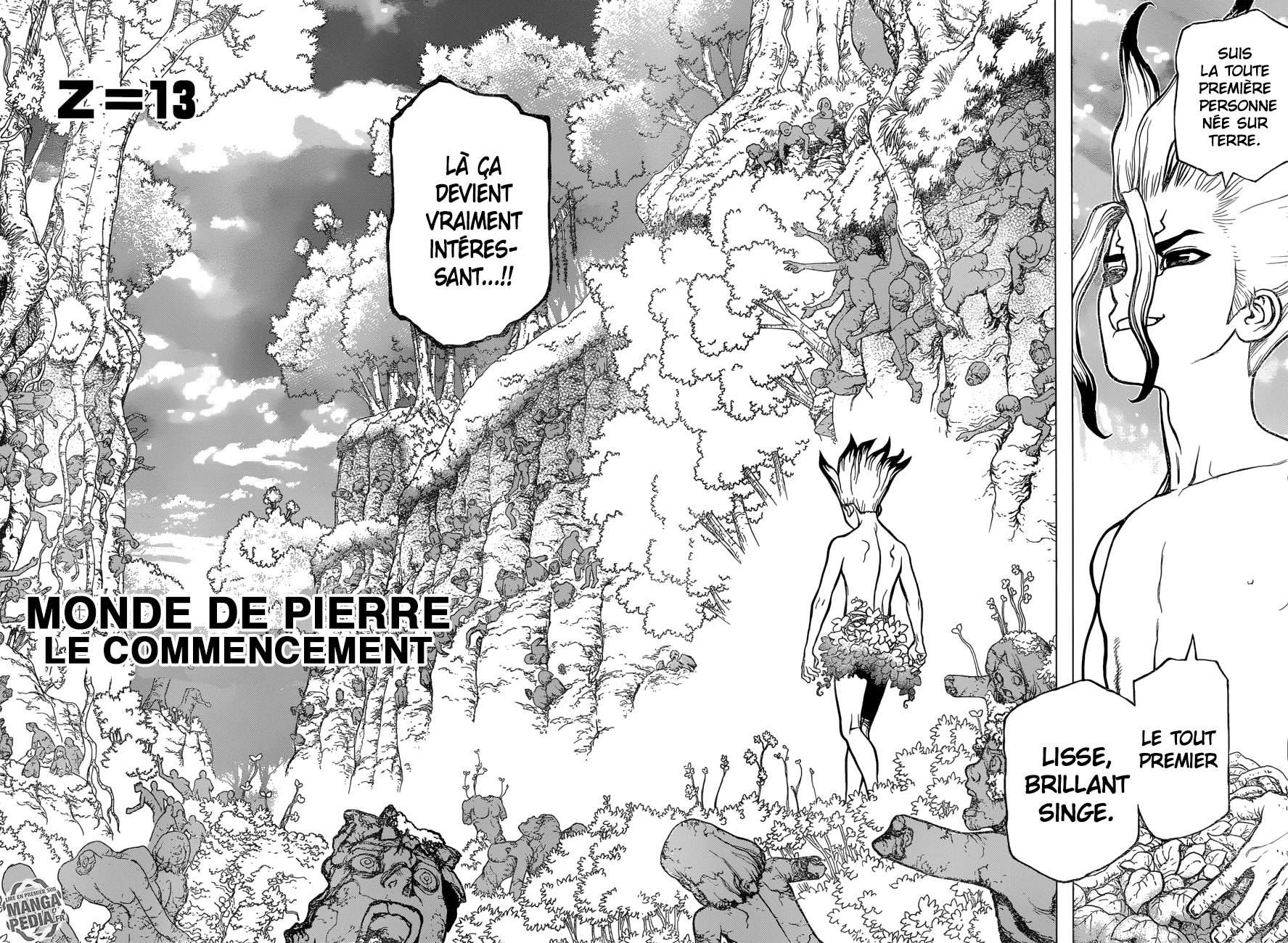 Read Dr Stone FR Manga Online