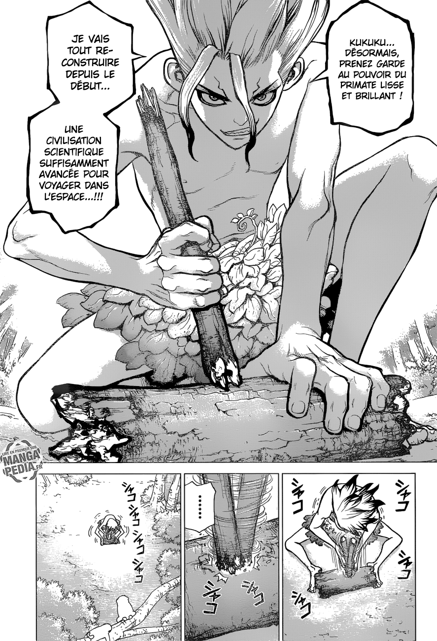 Read Dr Stone FR Manga Online