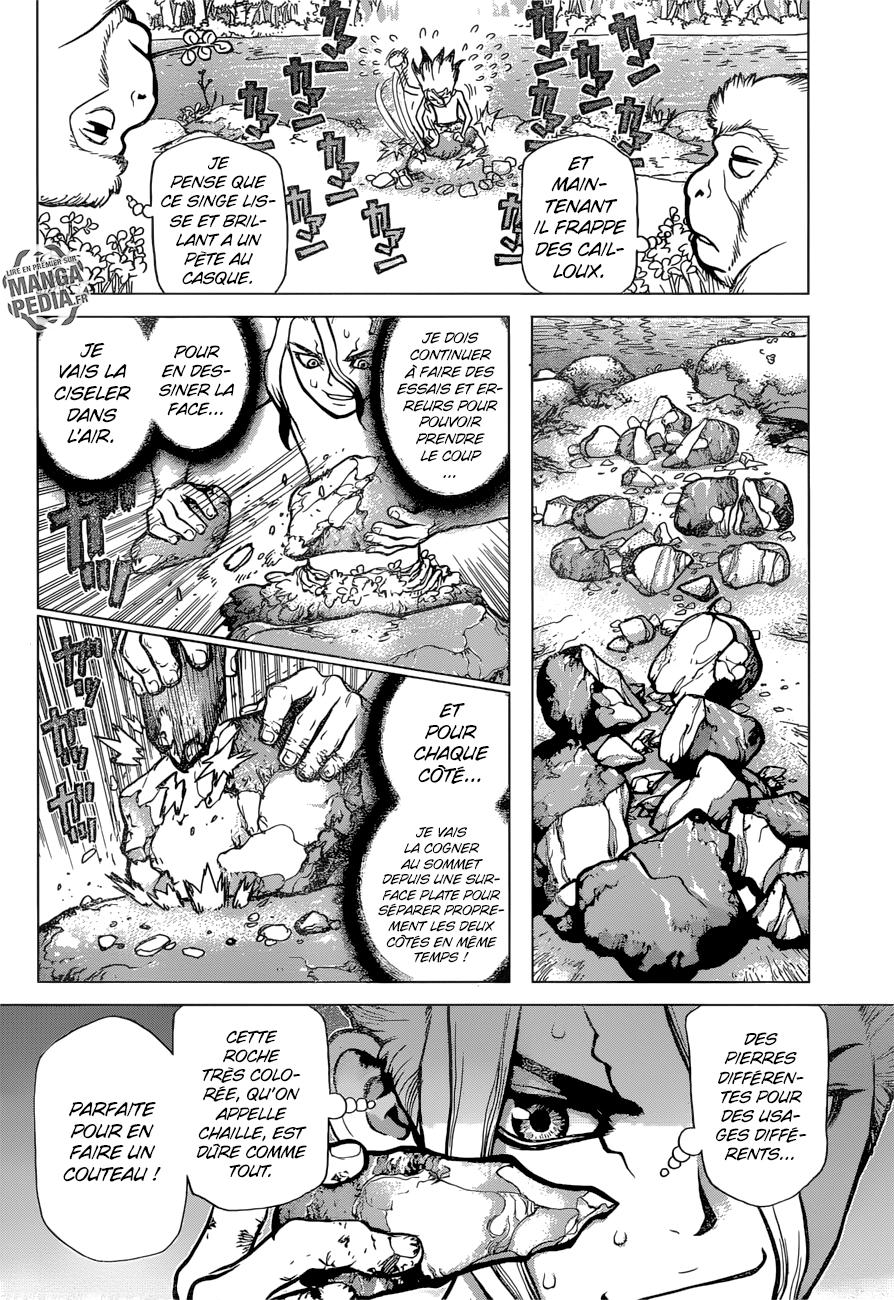 Read Dr Stone FR Manga Online