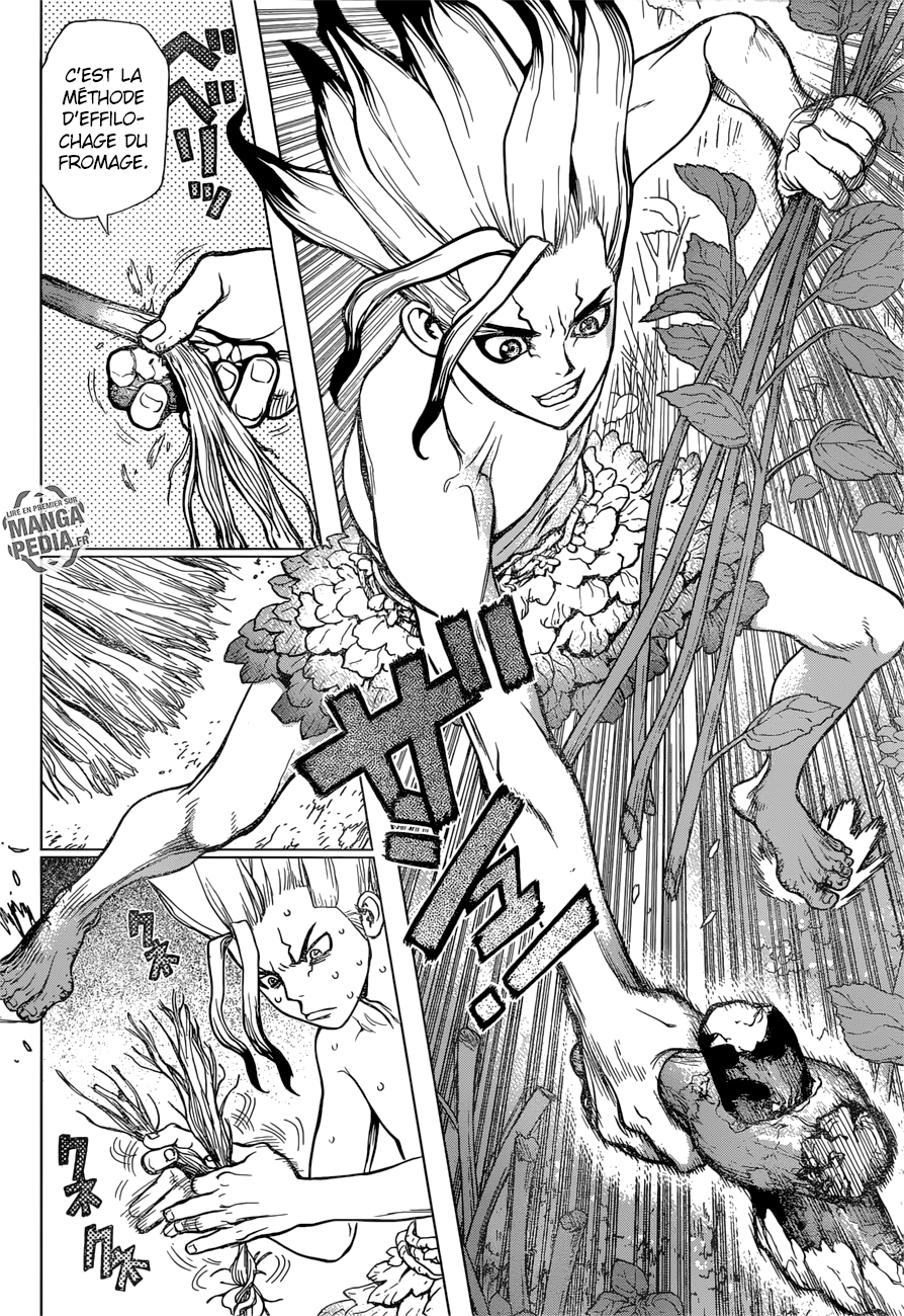 Read Dr Stone FR Manga Online