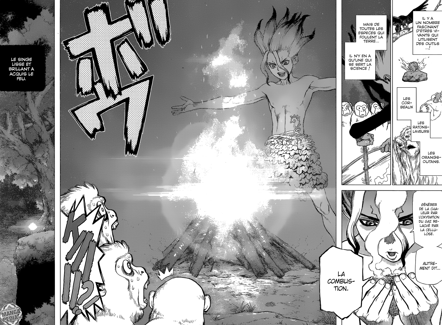 Read Dr Stone FR Manga Online