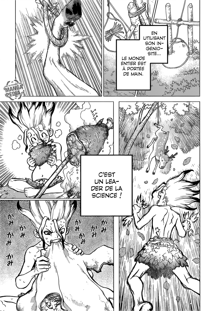 Read Dr Stone FR Manga Online