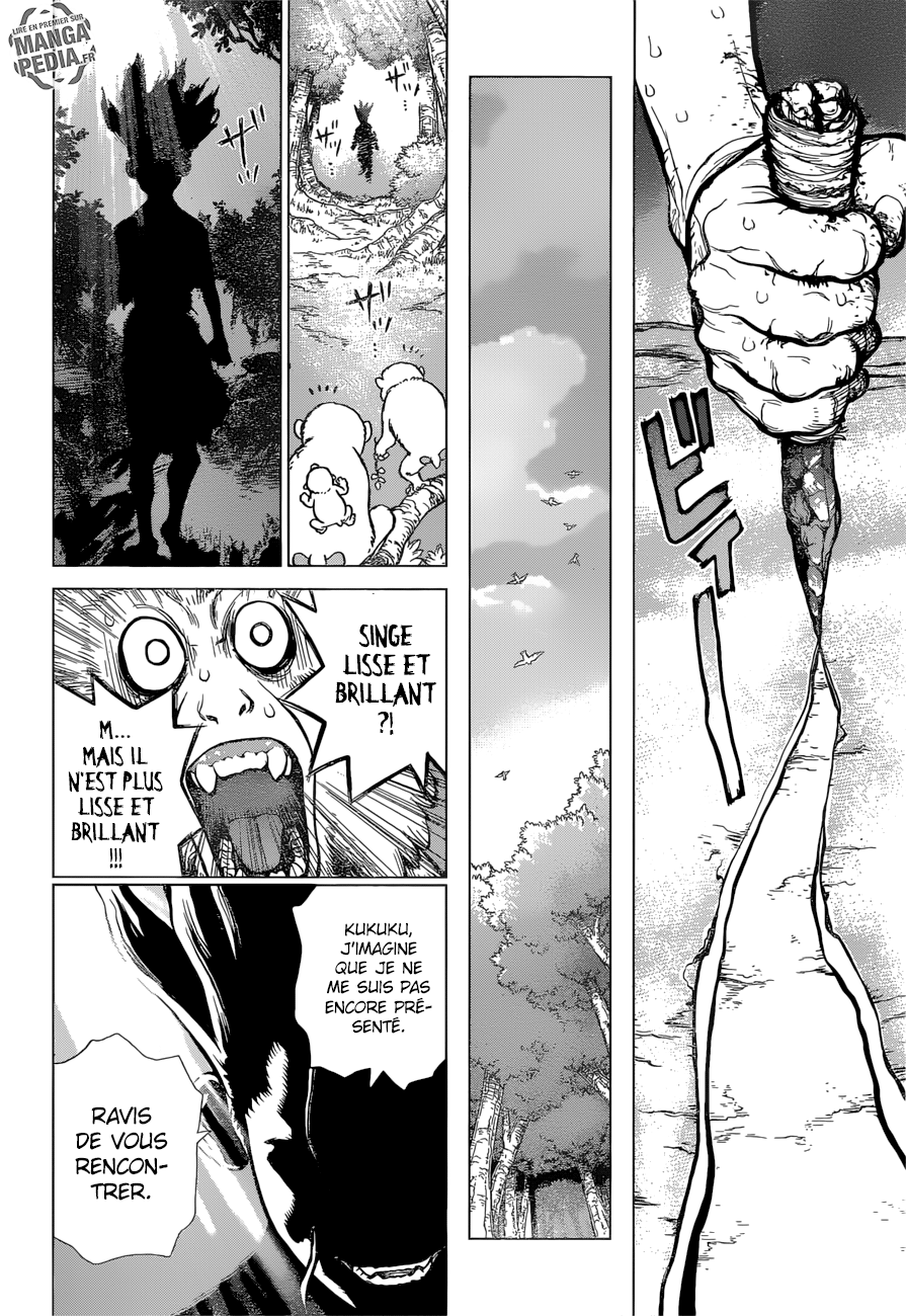 Read Dr Stone FR Manga Online