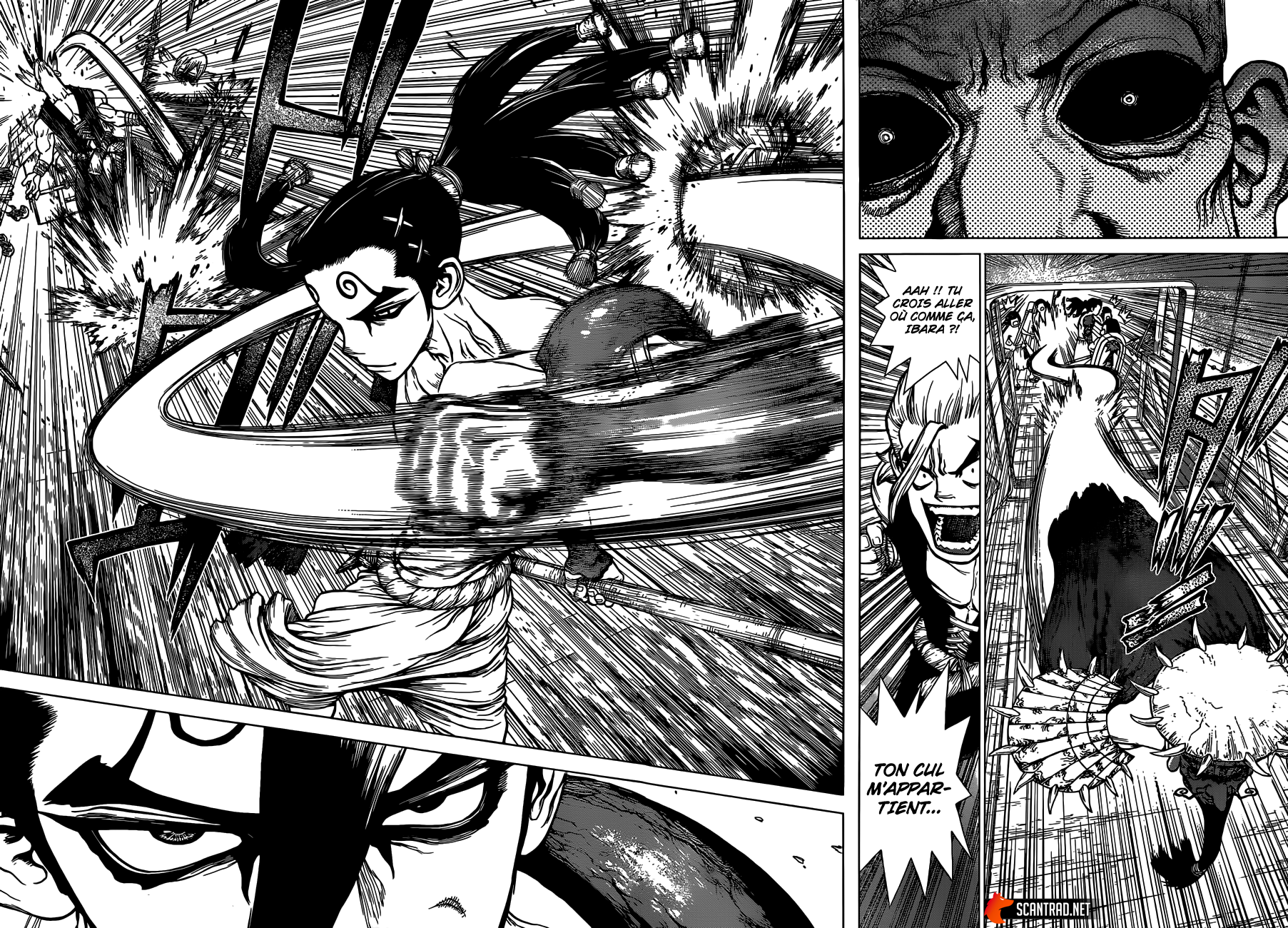 Read Dr Stone FR Manga Online