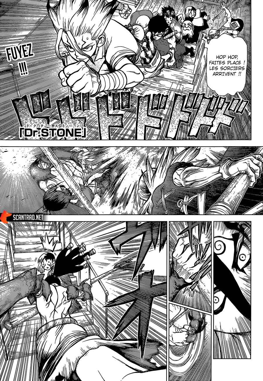 Read Dr Stone FR Manga Online