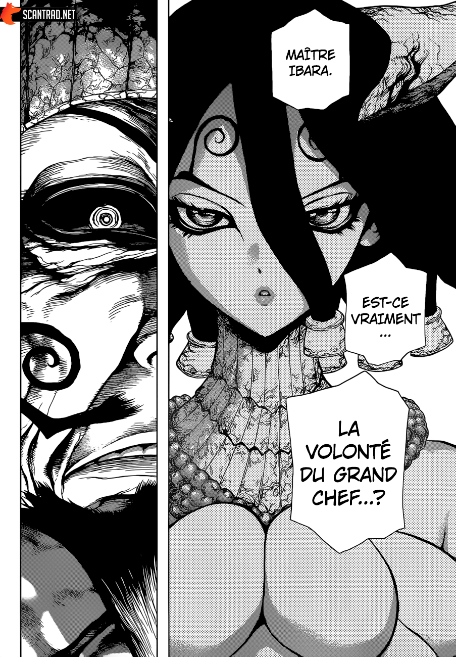 Read Dr Stone FR Manga Online