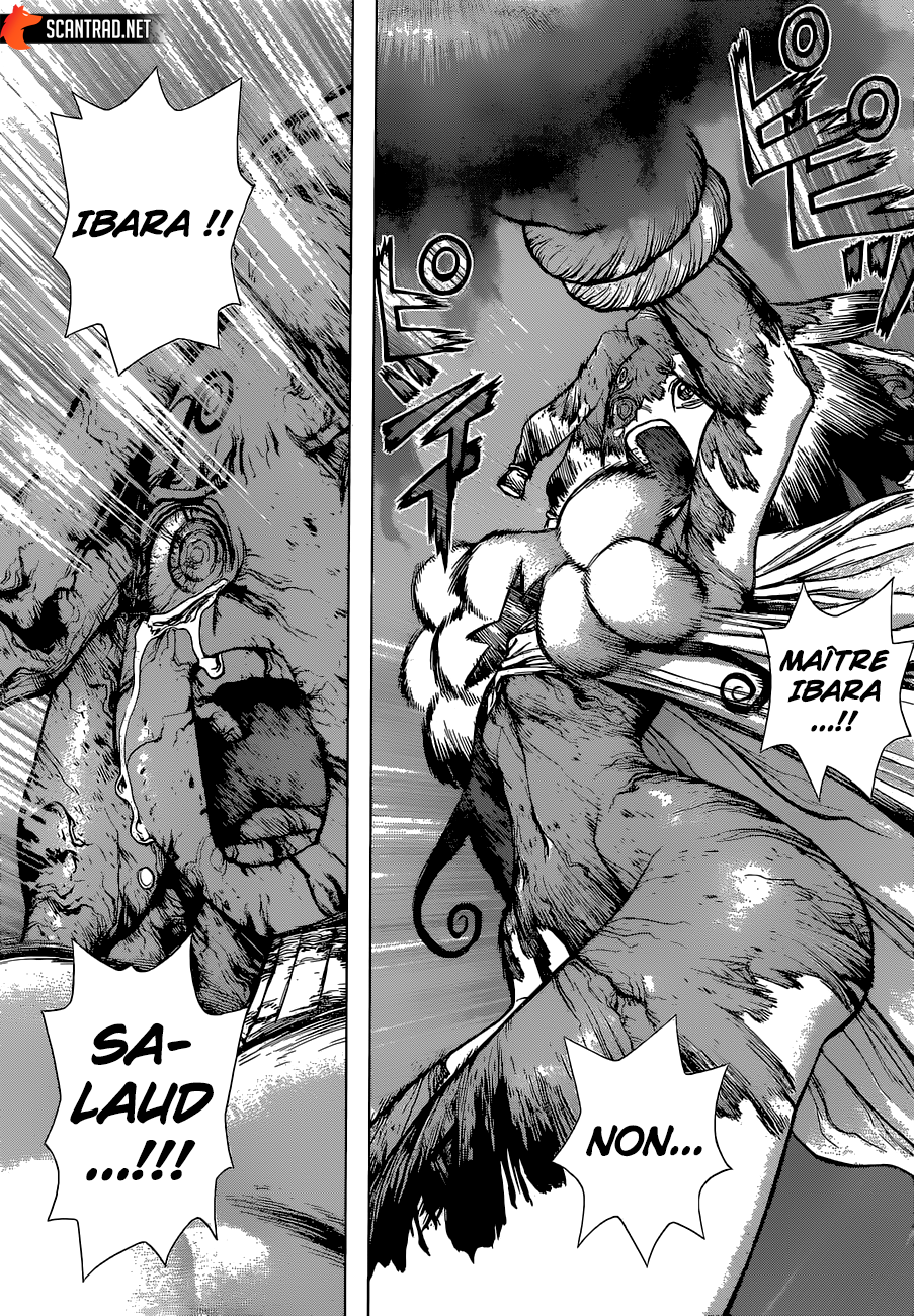 Read Dr Stone FR Manga Online