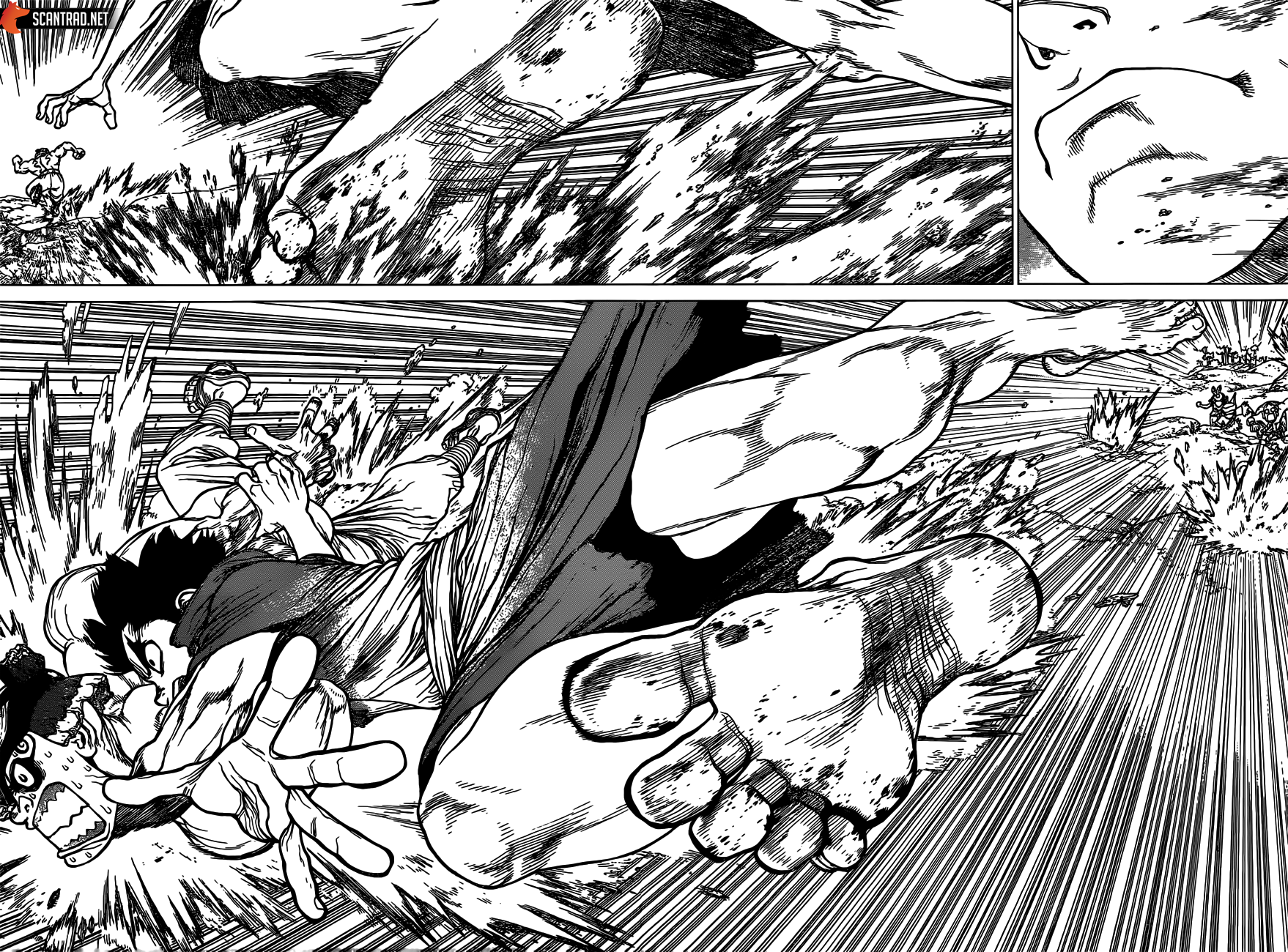 Read Dr Stone FR Manga Online