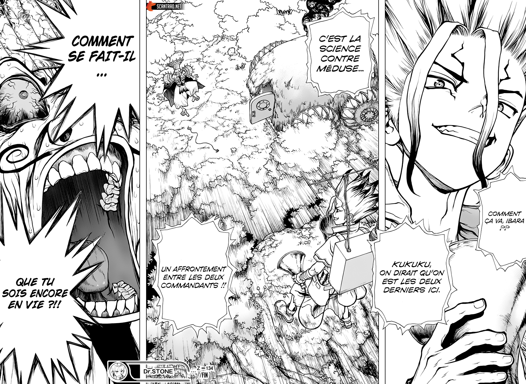 Read Dr Stone FR Manga Online