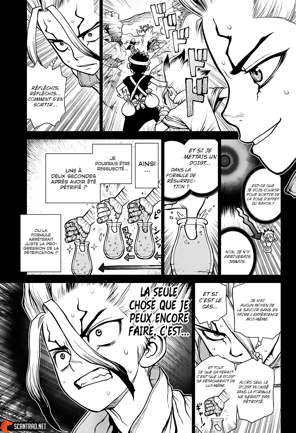 Read Dr Stone FR Manga Online