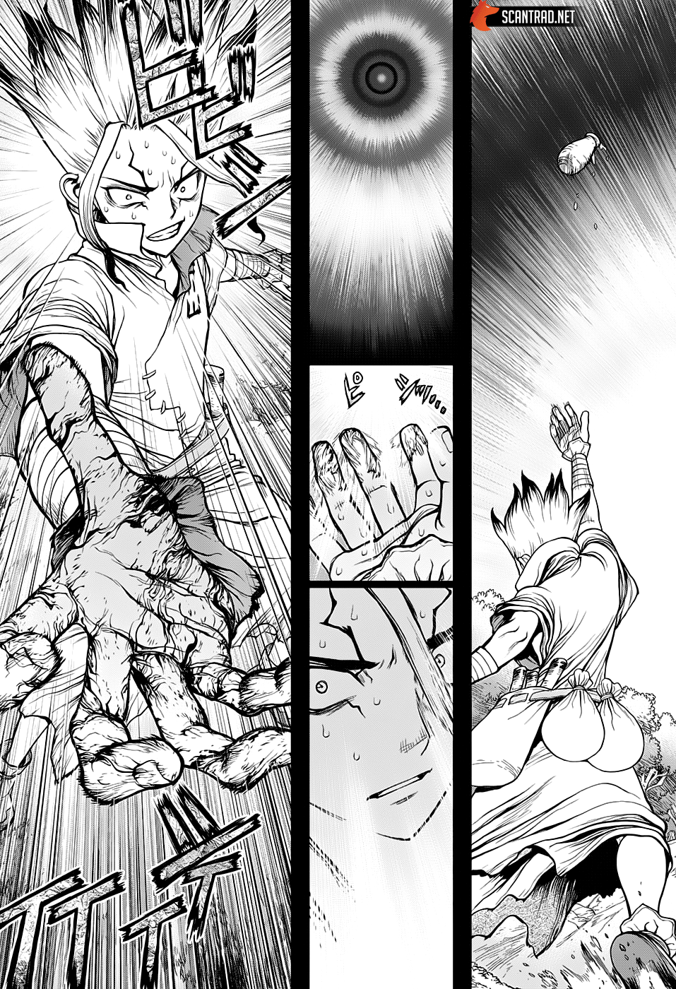Read Dr Stone FR Manga Online