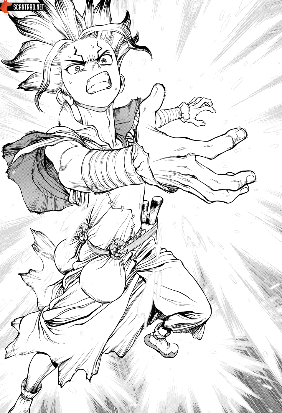 Read Dr Stone FR Manga Online