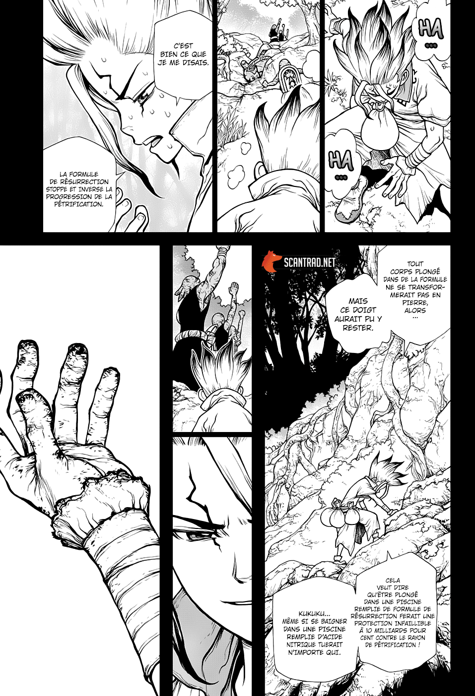 Read Dr Stone FR Manga Online