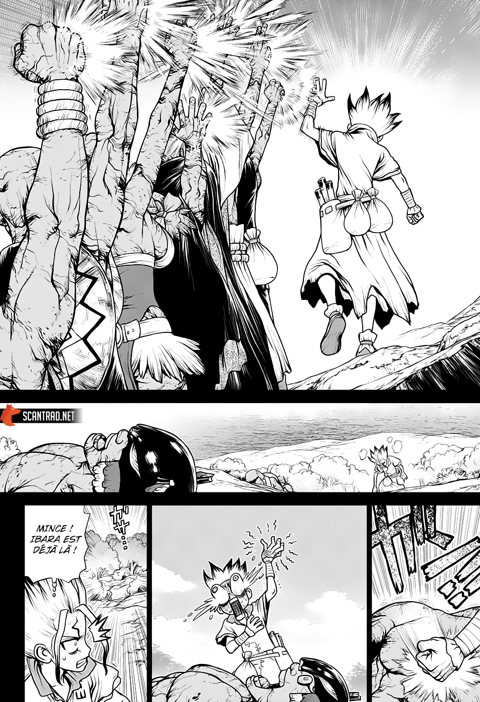 Read Dr Stone FR Manga Online