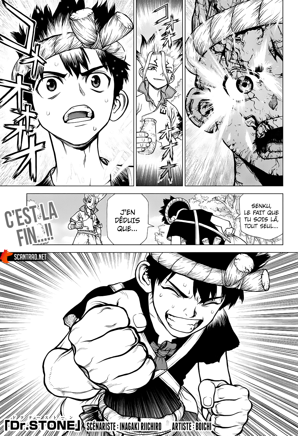 Read Dr Stone FR Manga Online