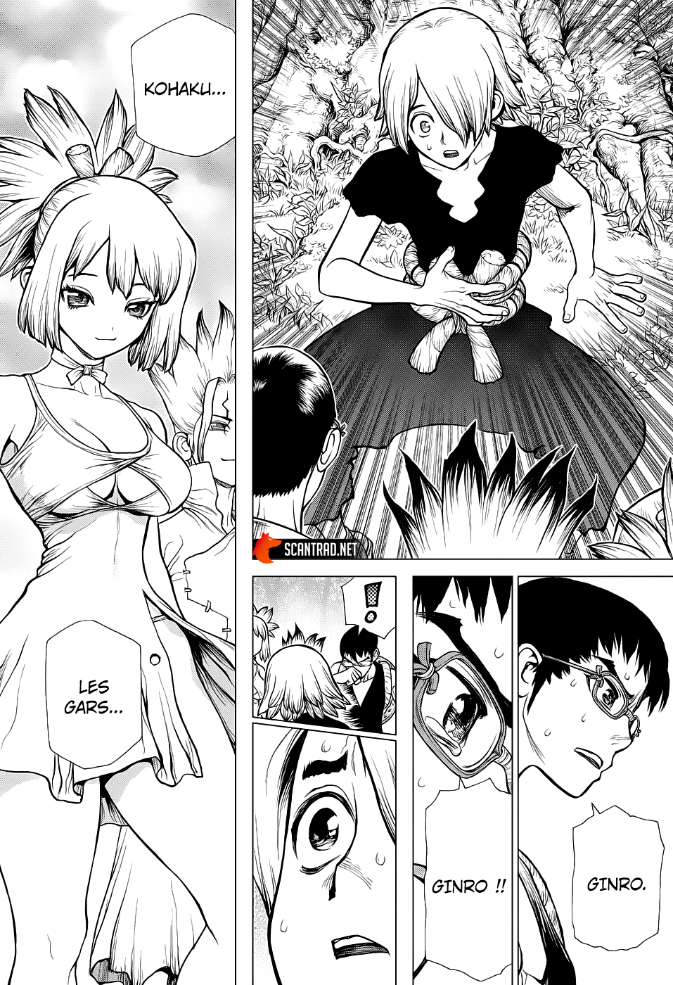 Read Dr Stone FR Manga Online