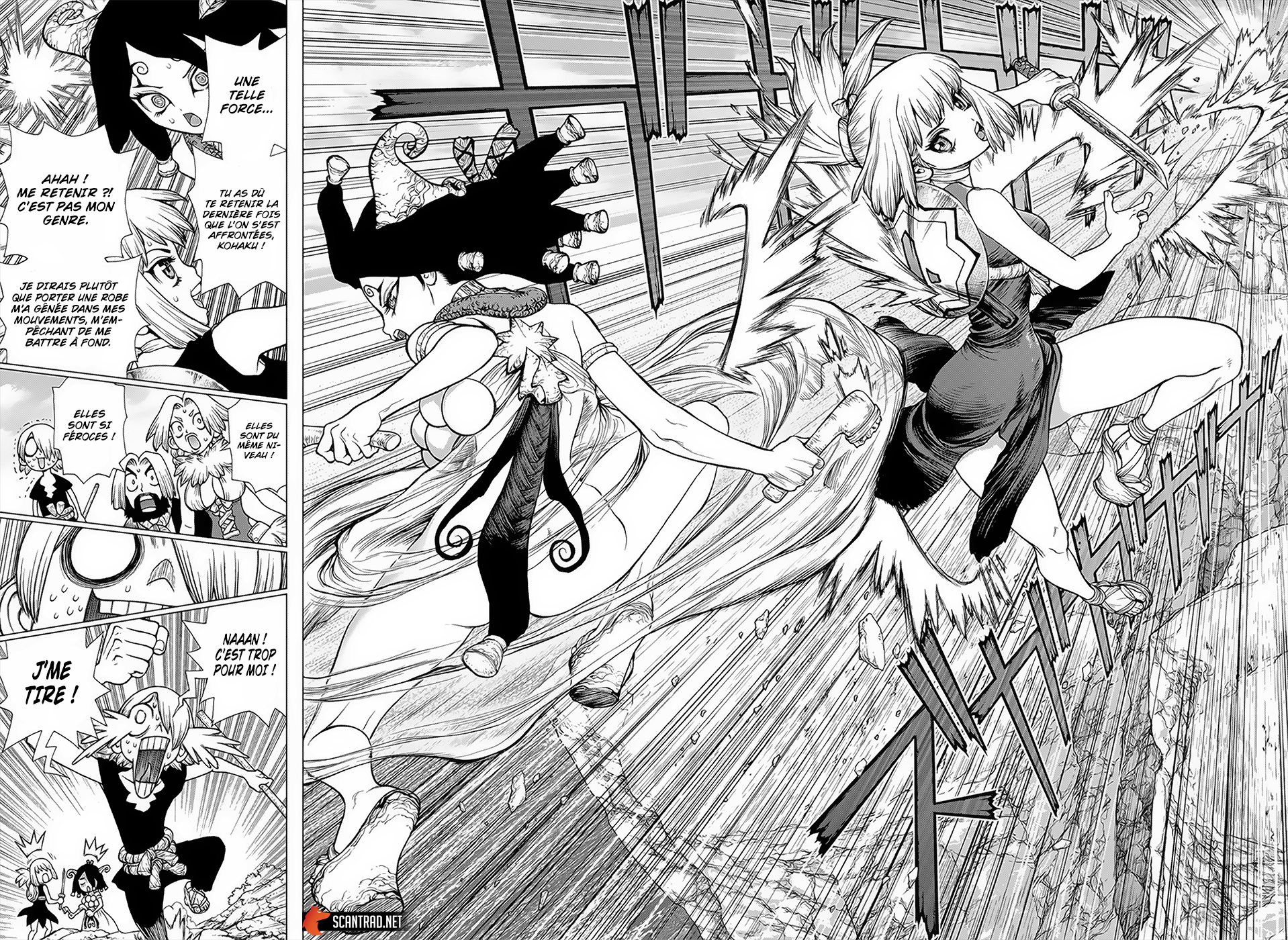 Read Dr Stone FR Manga Online
