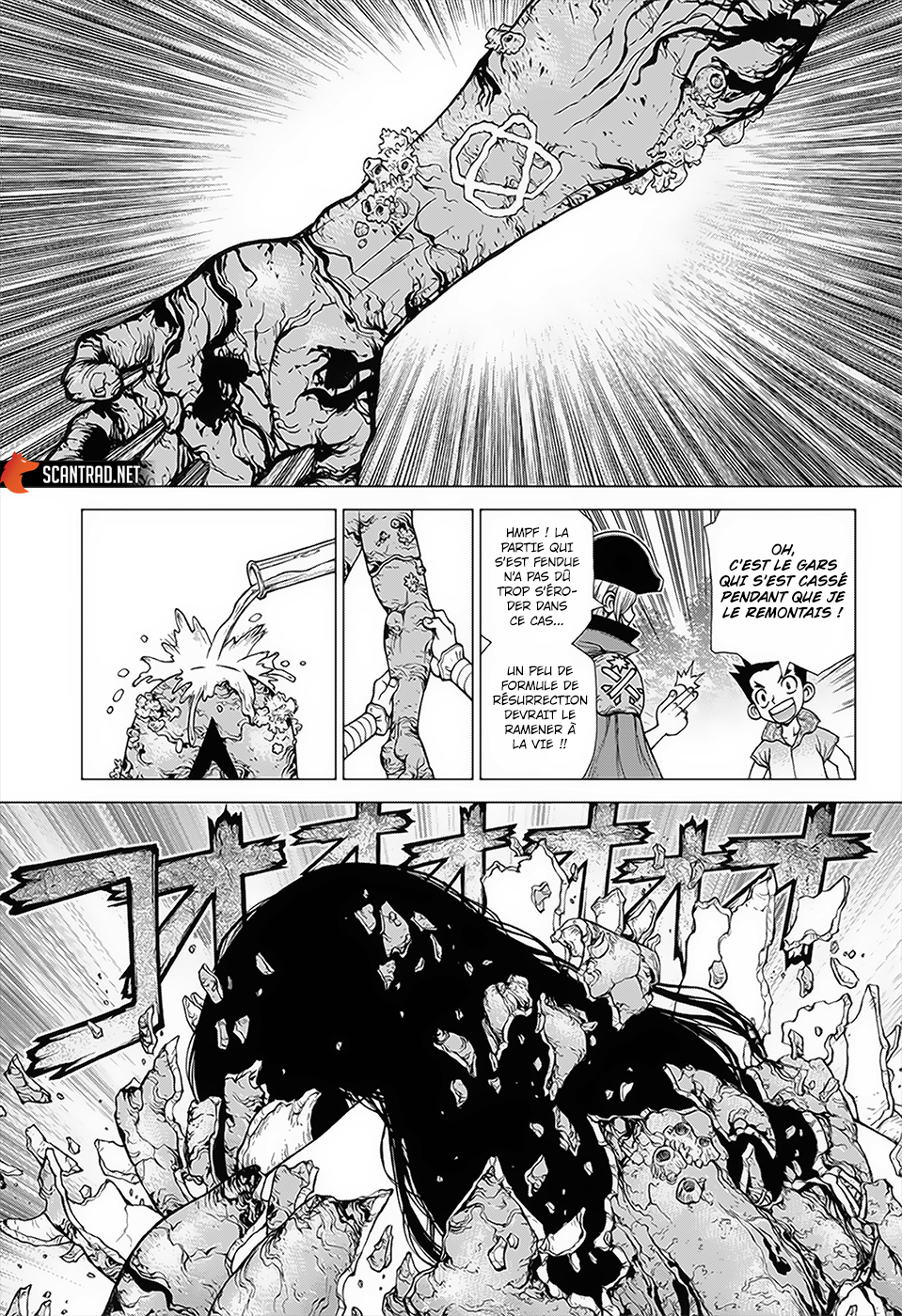 Read Dr Stone FR Manga Online