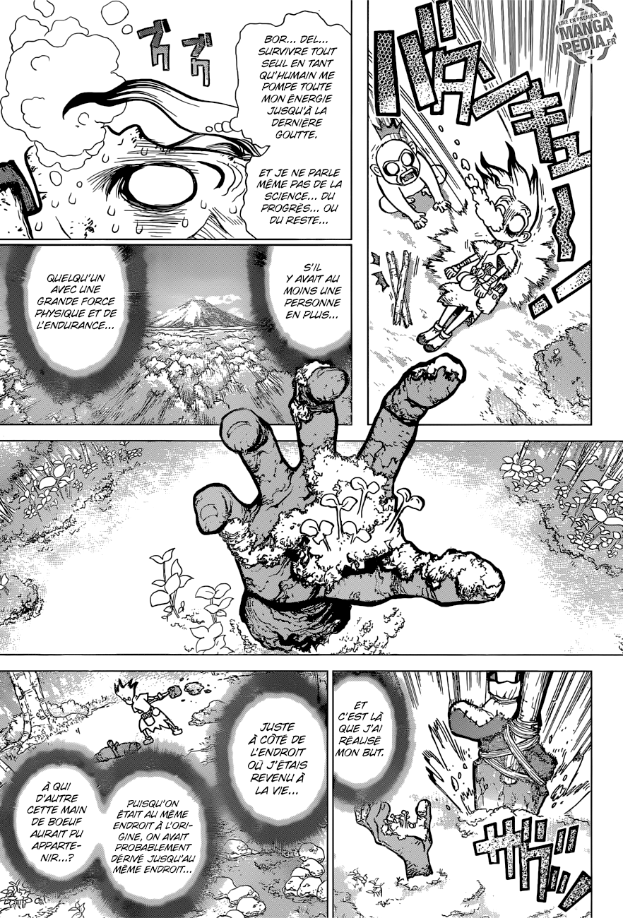 Read Dr Stone FR Manga Online