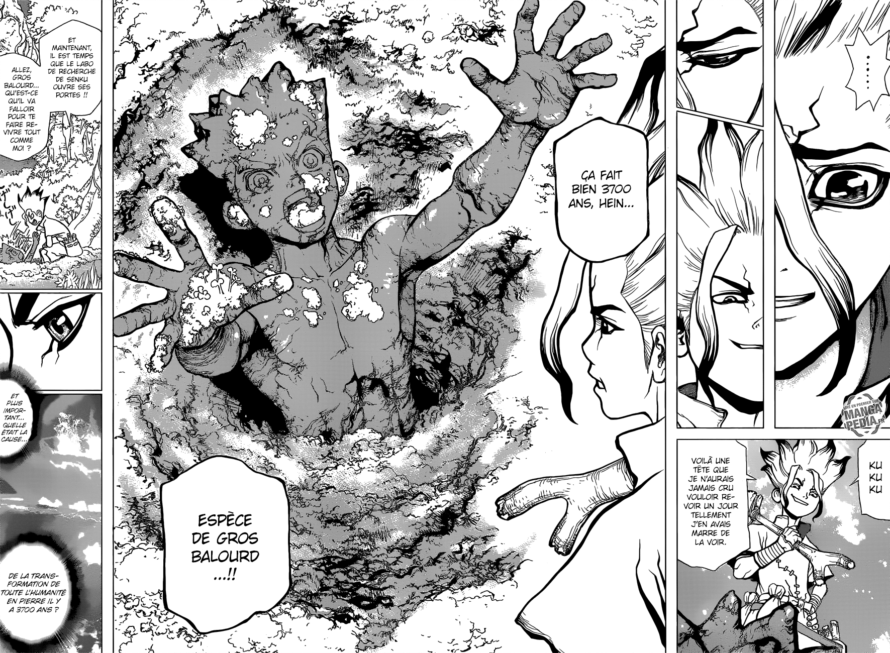 Read Dr Stone FR Manga Online