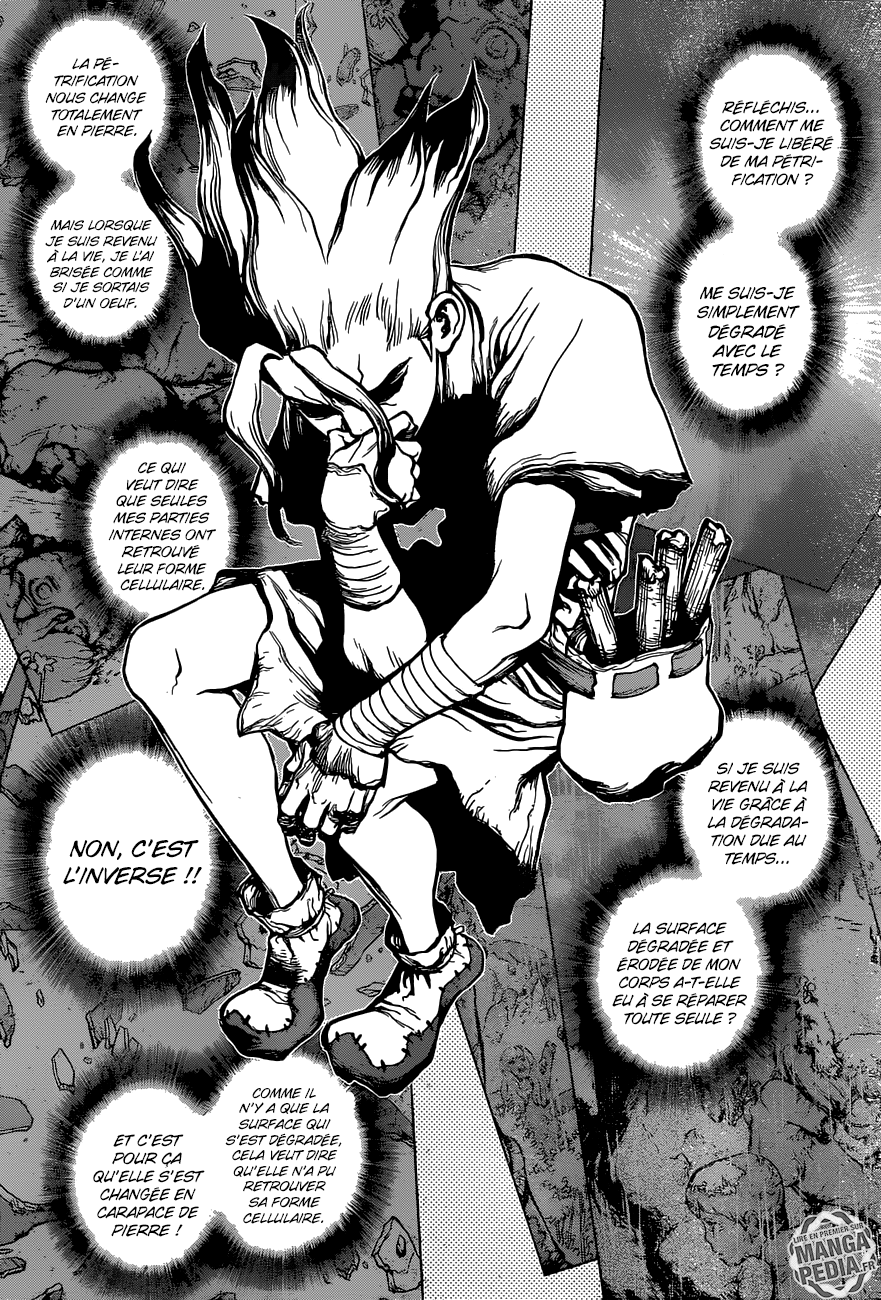 Read Dr Stone FR Manga Online
