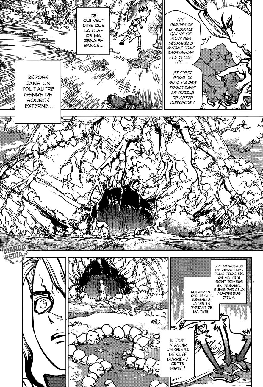 Read Dr Stone FR Manga Online