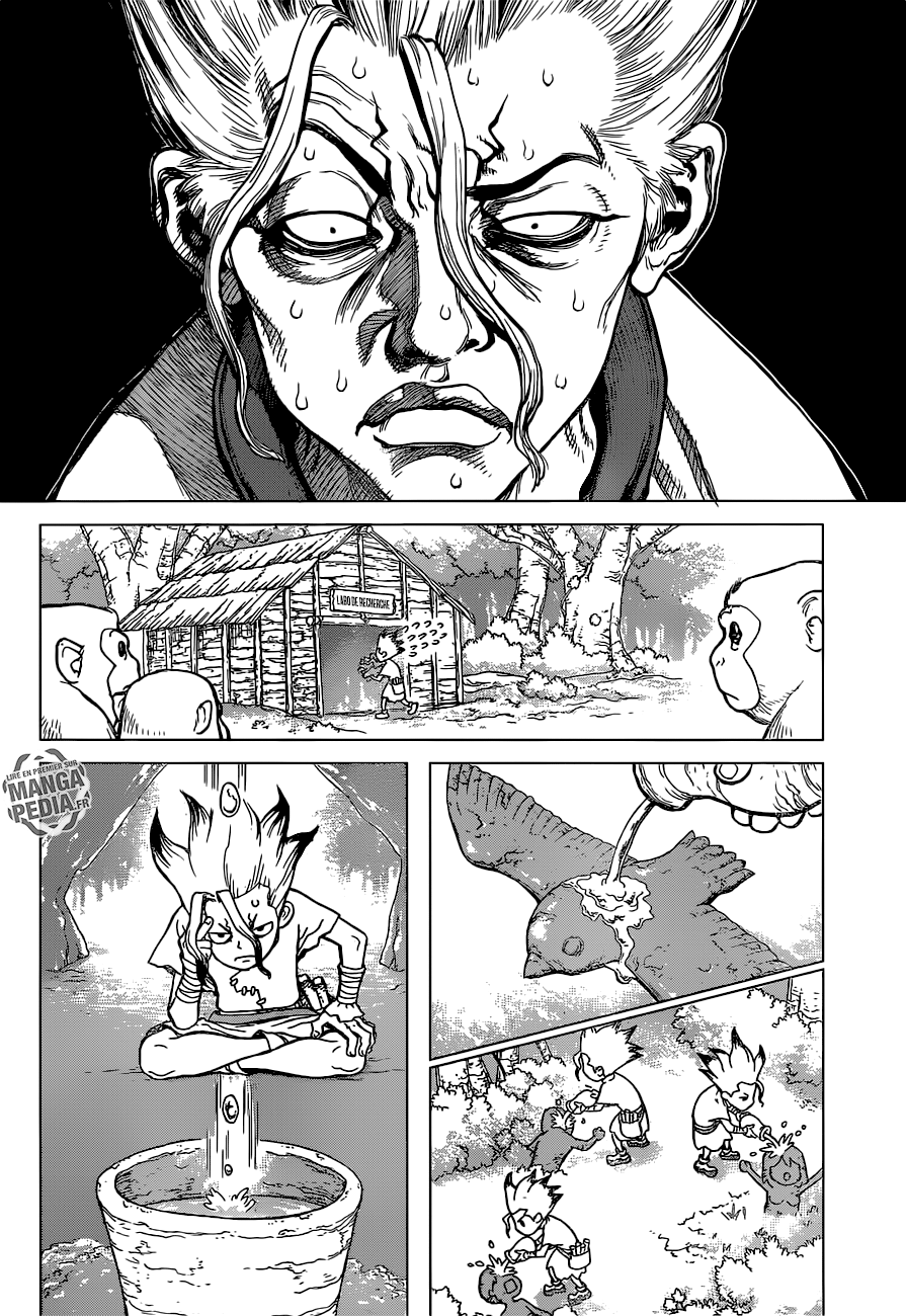 Read Dr Stone FR Manga Online