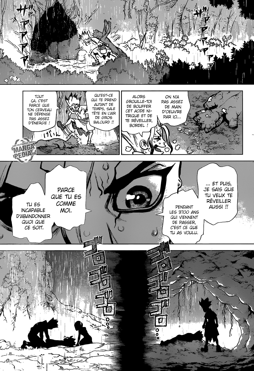 Read Dr Stone FR Manga Online