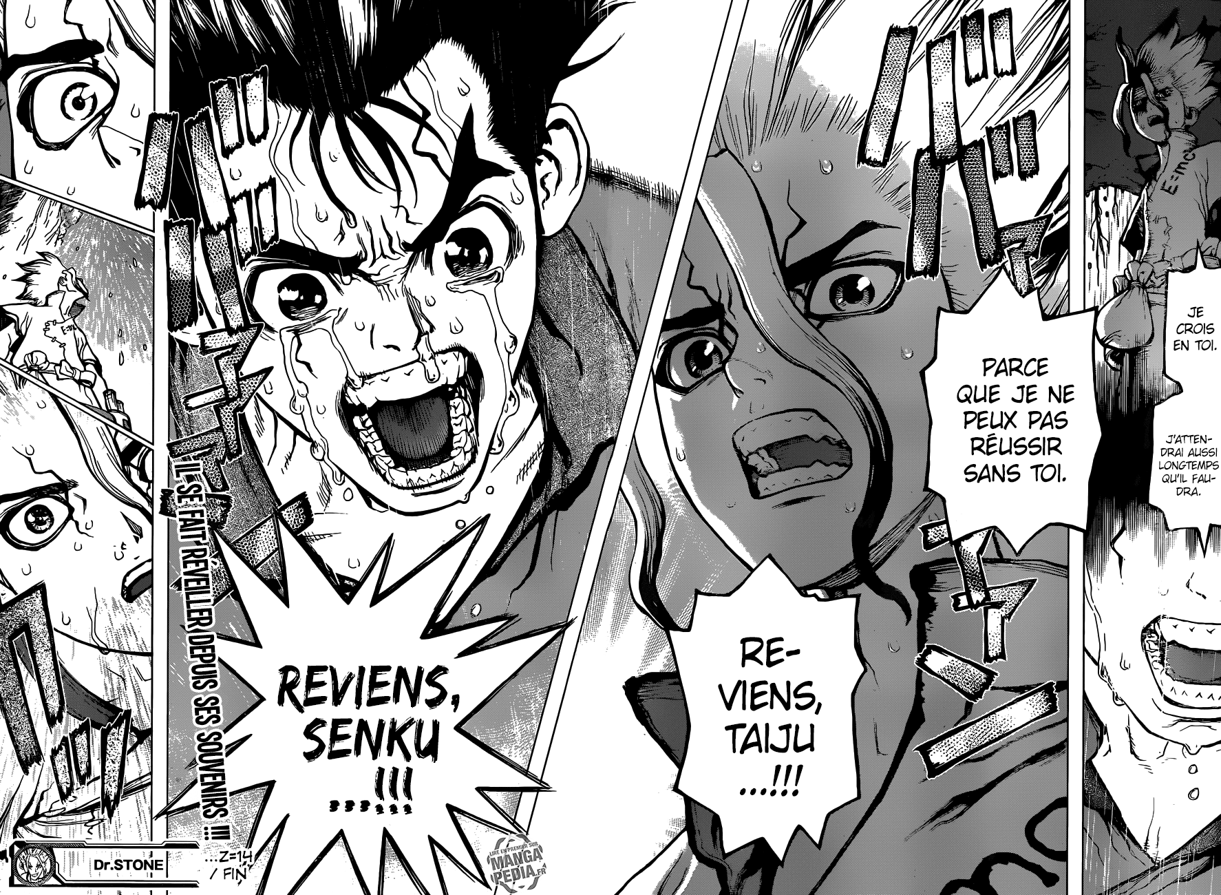 Read Dr Stone FR Manga Online