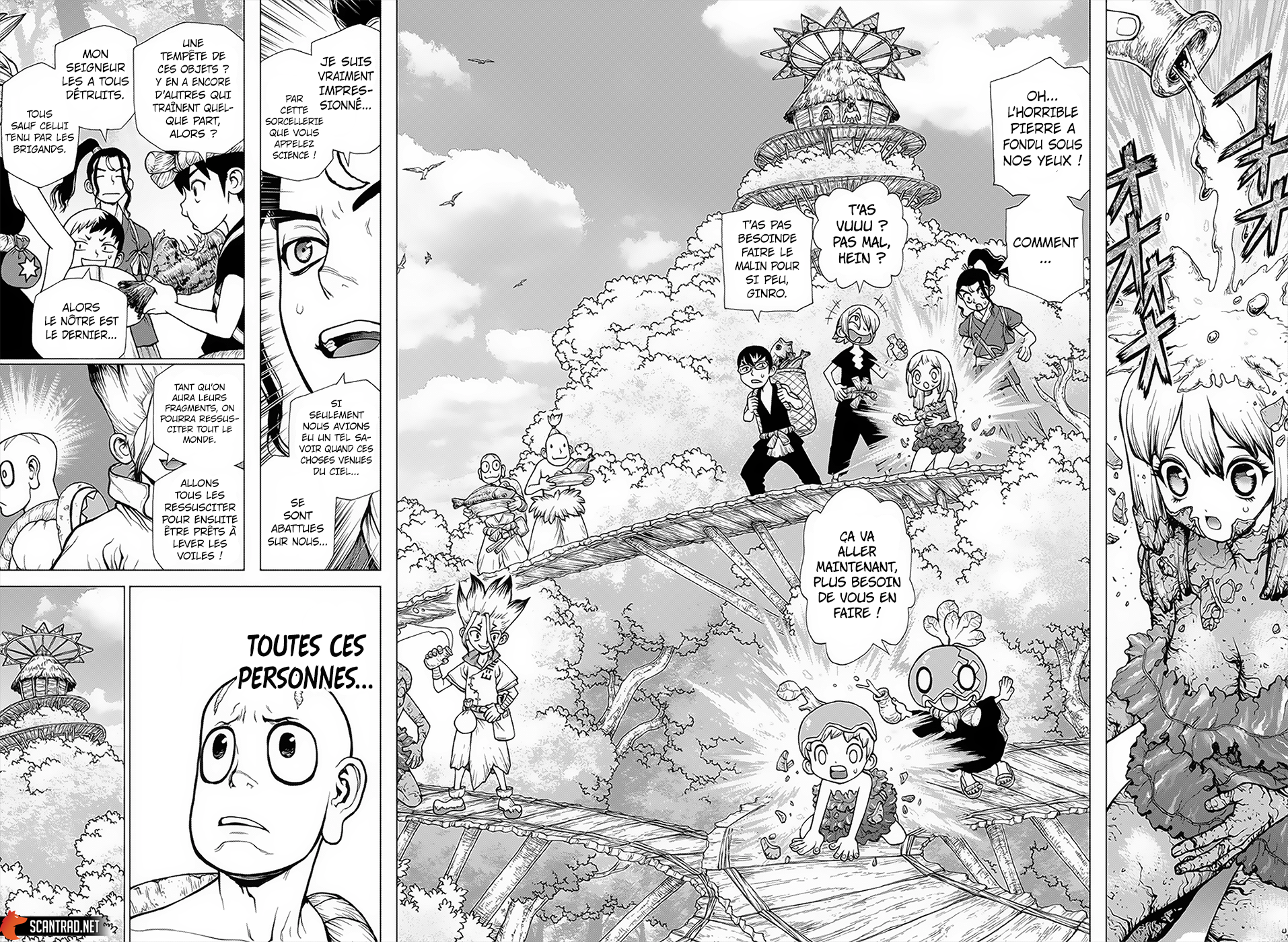 Read Dr Stone FR Manga Online