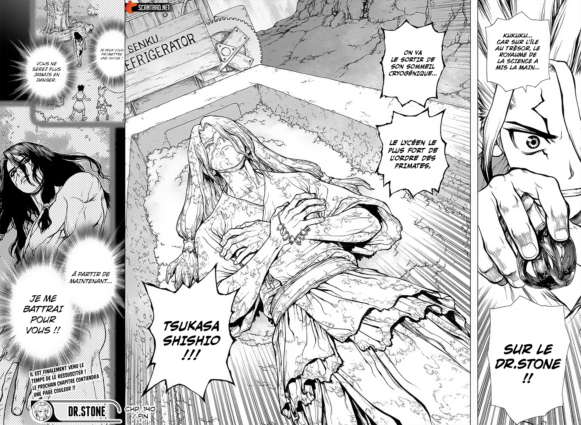 Read Dr Stone FR Manga Online