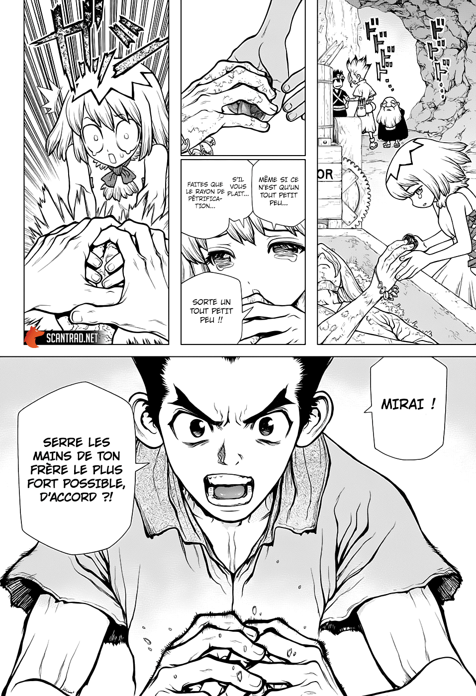 Read Dr Stone FR Manga Online