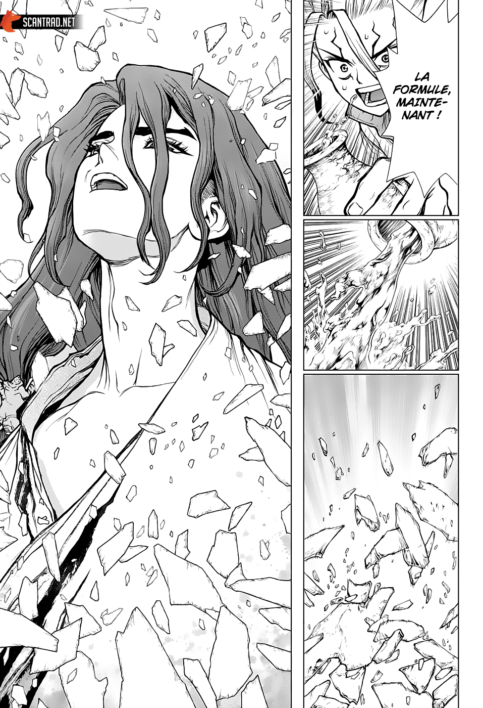 Read Dr Stone FR Manga Online